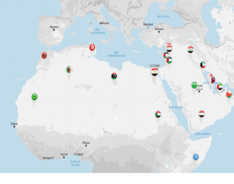 Cinq millions de cartes orange d’assurance automobile attendues dans les pays arabes d’ici 2030 : une révolution annoncée