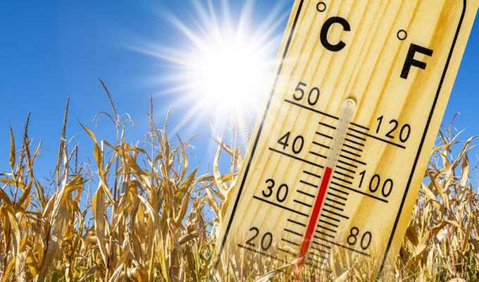 Températures entre 20 et 30 degrés : Week-end ensoleillé à Grenoble
