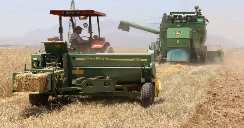 Tunisie: Une augmentation record attendue pour la production de céréales