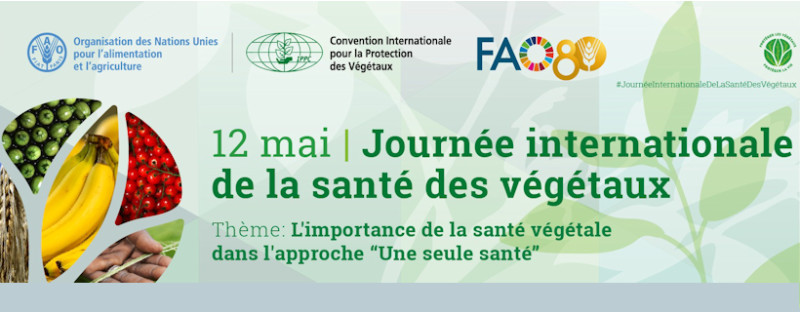 30 Moniteurs en Formation à la Santé Végétale: Un Atout pour la Sécurité des Échanges Agricoles en Tunisie