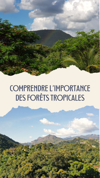 Haricats dans les forêts de Tunisie: Une urgence pour la biodiversité