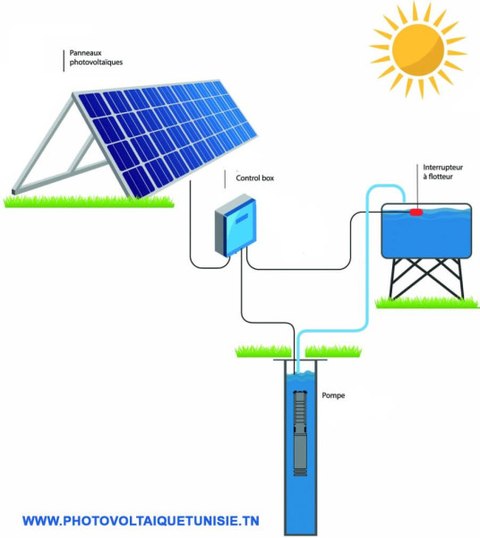 Inauguration d'une station de recharge solaire et d'équipements électriques pour la pêche traditionnelle à Ajim