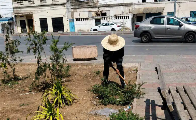 Les Interventions de la Municipalité de Tunis: Amélioration des Parcs et Espaces Verts