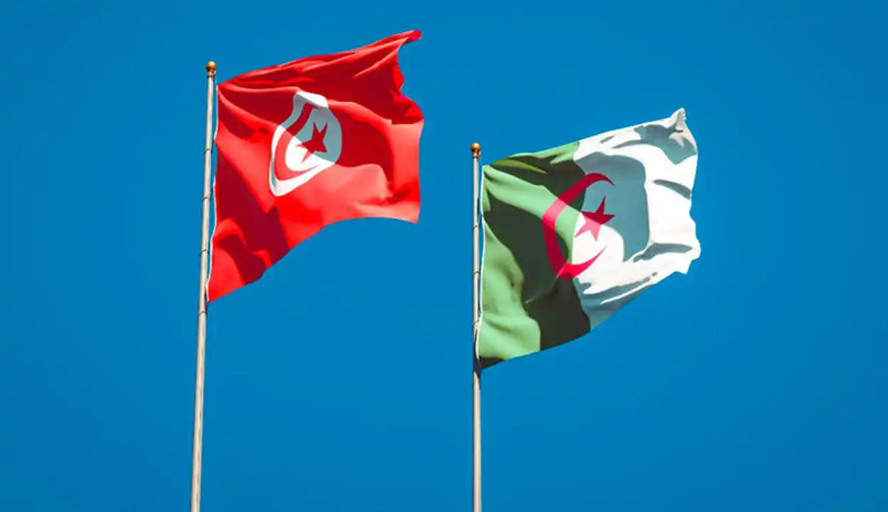 Renforcement du partenariat tuniso-algérien dans le domaine de la formation professionnelle