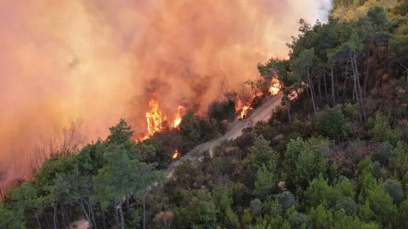 Slyanah: Maîtrise d'un incendie ravageur dans la région d'Aïssela