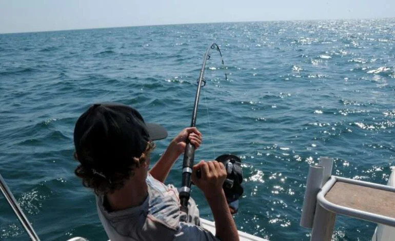 Ministère de l'Agriculture : Attribution des licences de fabrication et de fourniture de bateaux de pêche maritime