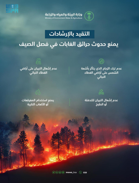 الطقس المزعج: السلطات التونسية تواجه تحديات كبيرة للحد من مخاطر الحريق في الغابات