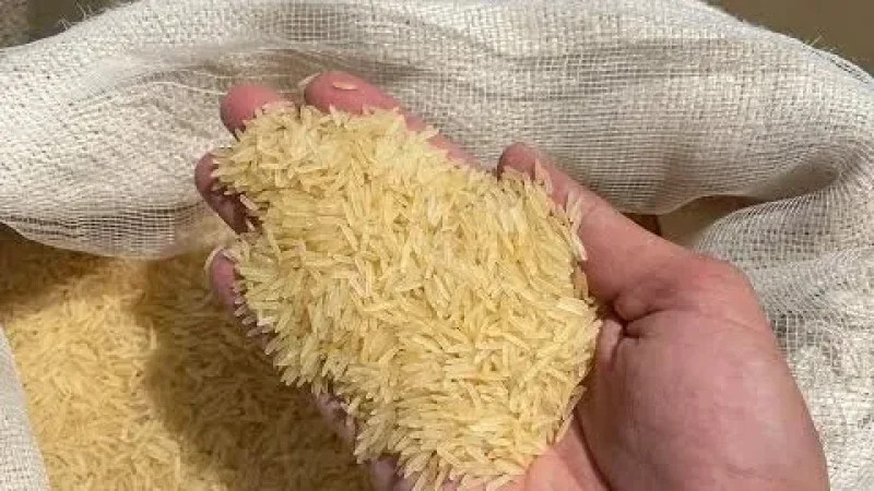 وزارة التجارة تحدد أسعار بيع الأرز المستورد
