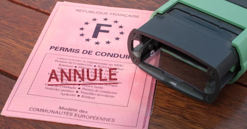Permis de conduire : la polémique des 200 dinars qui secoue la Fédération tunisienne des artisans